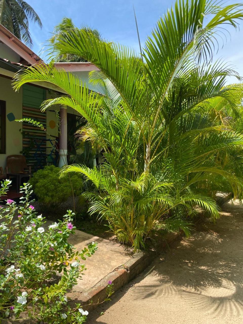 Elena Garden Resort And Restaurant Trincomalee Exterior foto