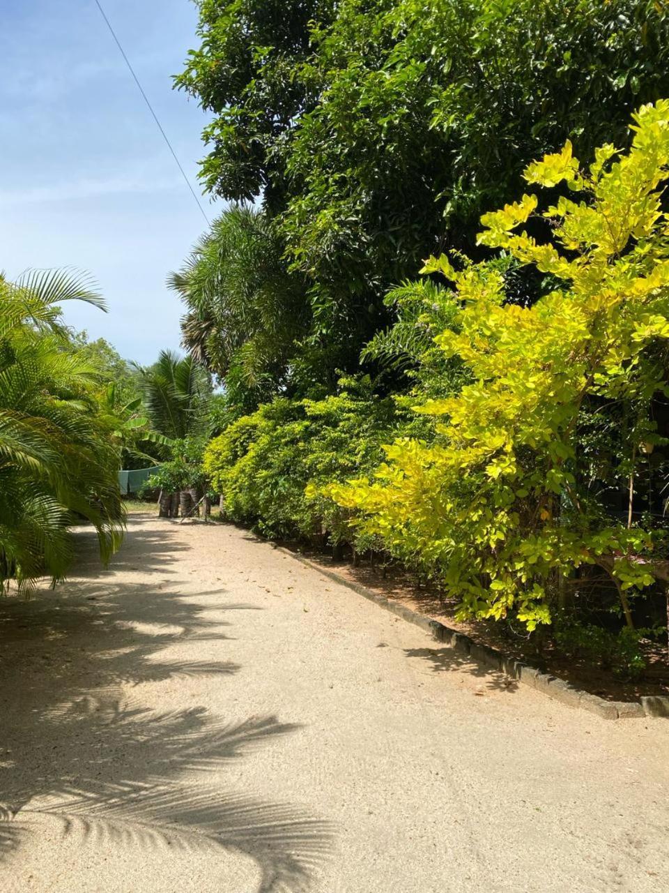 Elena Garden Resort And Restaurant Trincomalee Exterior foto