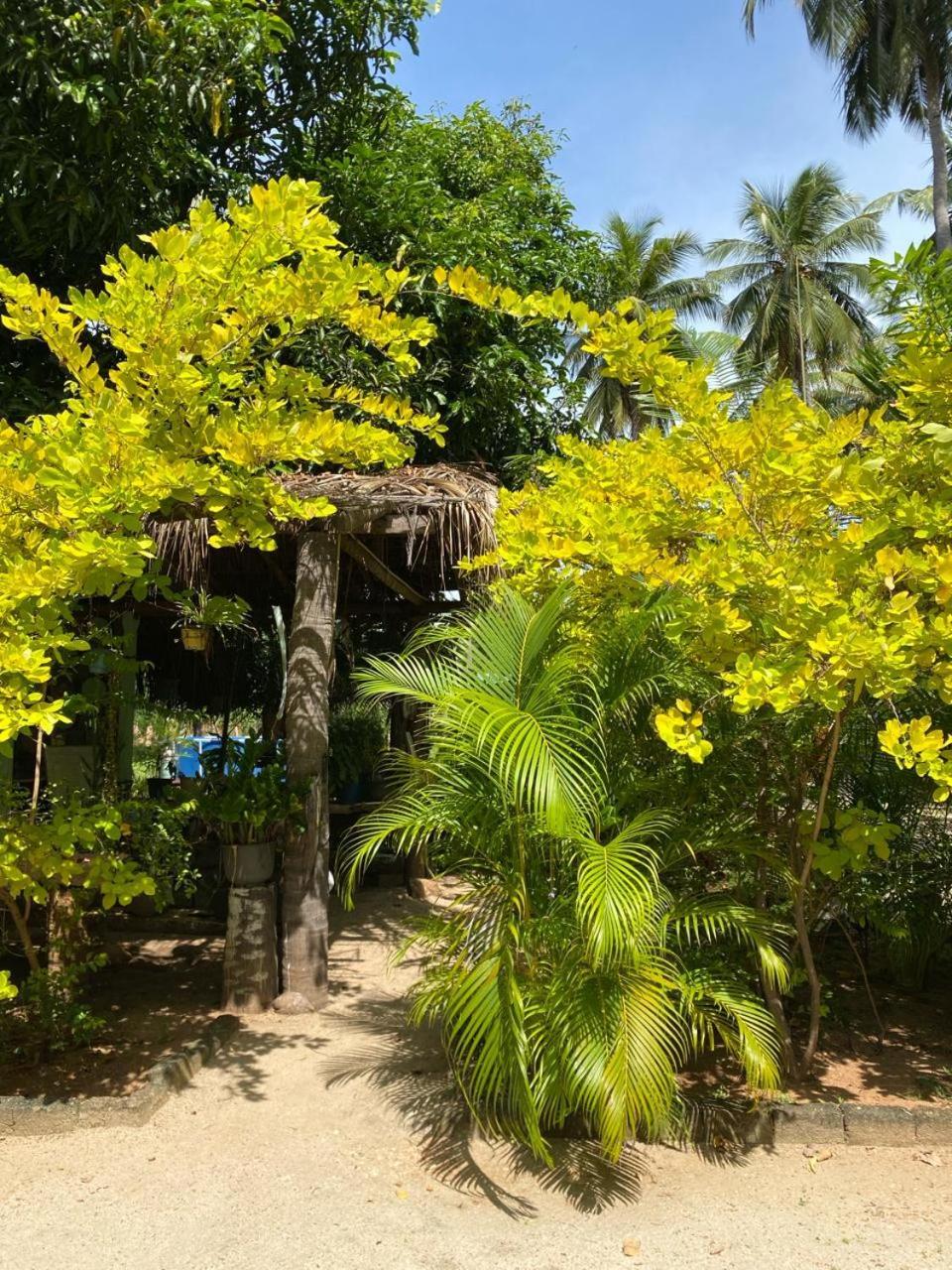 Elena Garden Resort And Restaurant Trincomalee Exterior foto